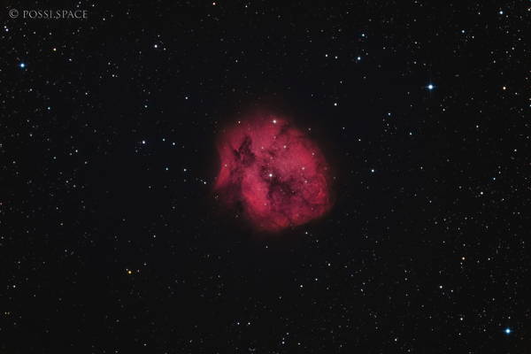 210820_cocoon_nebula_-_cdk17_reduced.jpg