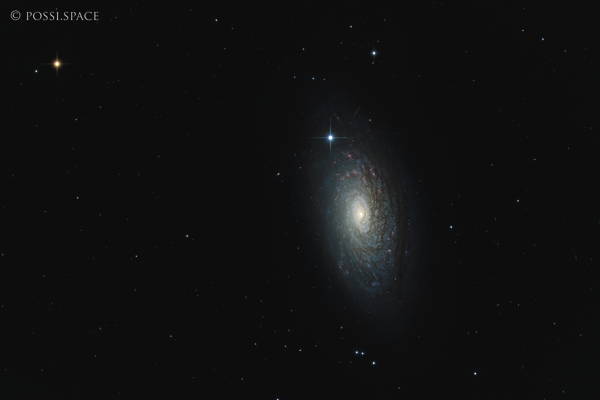 Click for full size 220303_m63_sunflower_galaxy_-_cdk17_nativ.jpg