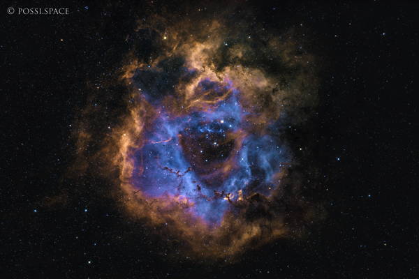 220321_sh2-275_rosette_nebula_-_rasa36.jpg