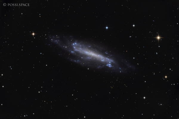 220503_ngc4236_draco_galaxy_-_cdk17_nativ.jpg