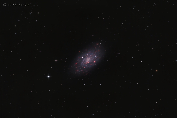 Click for full size 230108_ngc2403_small_bright_galaxy_in_camelopardis_-_cdk_reduced_hrgb.jpg
