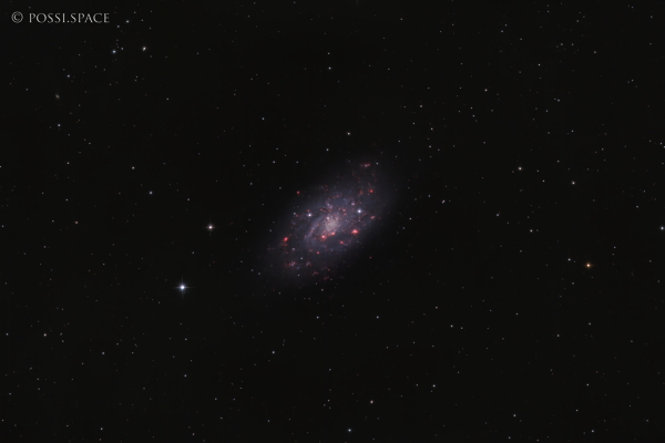 230108_ngc2403_small_bright_galaxy_in_camelopardis_-_cdk_reduced_hrgb.jpg