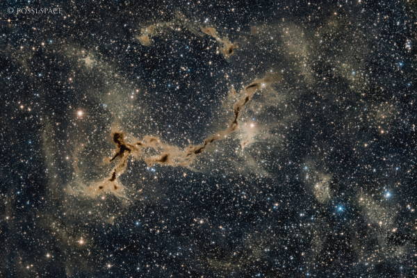 230912_ldn1082_the_seahorse_nebula_-_rasa36_irgb.jpg