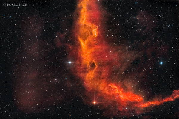 231118_sh2-204_brontosaurus_nebula_-_cdk17_reduced_hgo.jpg