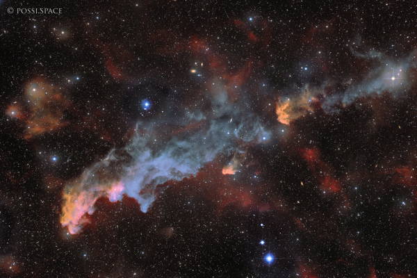 240110_ic2118_witch_head_nebula_-_rasa36_rgb_2x1_mosaic.jpg