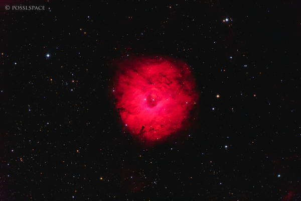 241103_sh2-170_small_rosette_nebula_-_cdk17_reduced_hgo.jpg