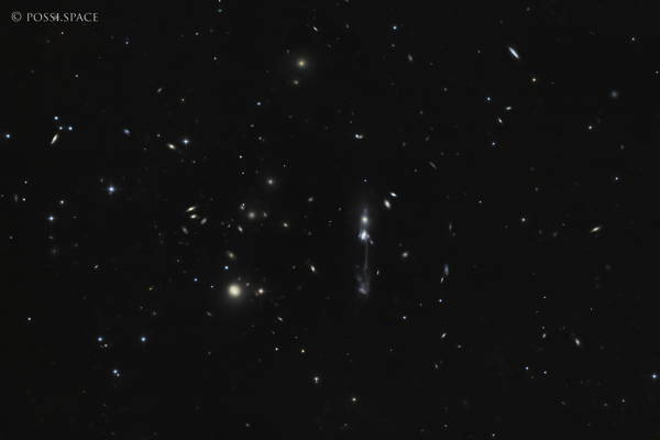250422_ngc3561_guitar_galaxy_-_cdk17_nativ_lrgb.jpg