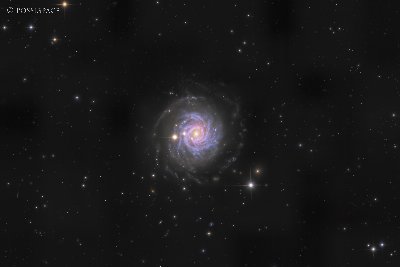 NGC3344 Weak Spiral Galaxy – Planewave CDK17 Native LRGB